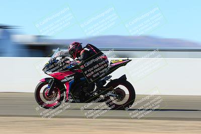 media/Jan-09-2022-SoCal Trackdays (Sun) [[2b1fec8404]]/Front Straight Speed Shots (1pm)/